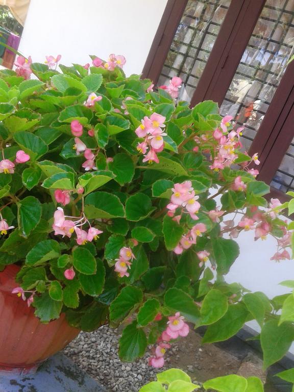 Karthik Villa Варкала Экстерьер фото